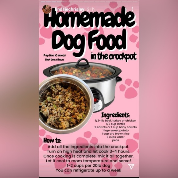 $1 DOG PIN/BROOCH. ENAMEL/METAL. NEW. $1 WITH ANY $10 ORDER OR MORE - Picture 5 of 16